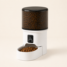 Smart 4L Automatic Pet Feeder