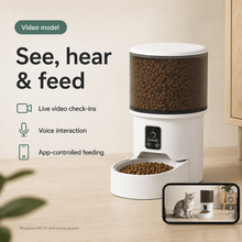 Smart 4L Automatic Pet Feeder