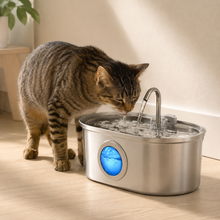 AquaWhisk Stainless Steel Pet Water Fountain